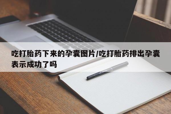 打胎药购买联系方式在线 吃打胎药下来的孕囊图片/吃打胎药排出孕囊表示成功了吗